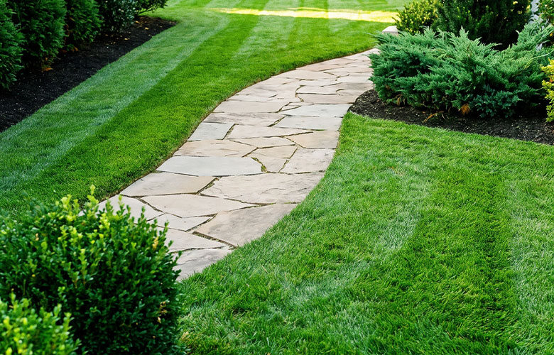 Professionally maintained commercial lawn